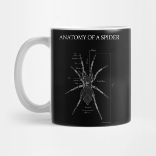Spider Anatomy Diagram Mug